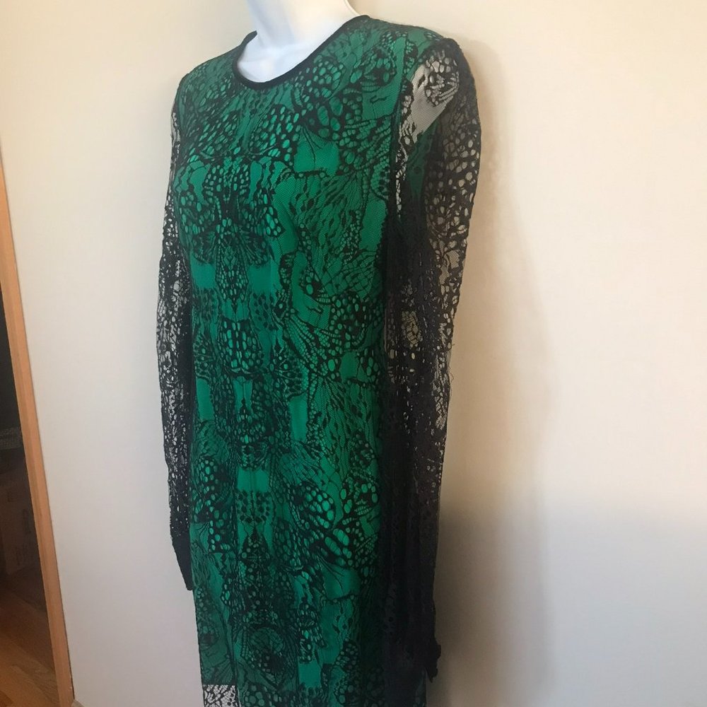 Alexander McQueen Black/Jade Dress